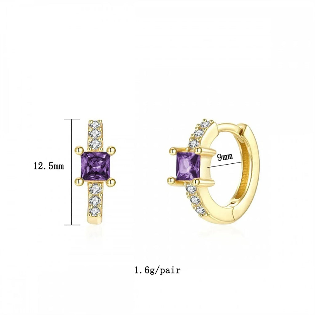 Europe and the United States cross-border luxury zircon earrings earrings fashion exquisite explosions ins wind earrings jewelry suit wholesale