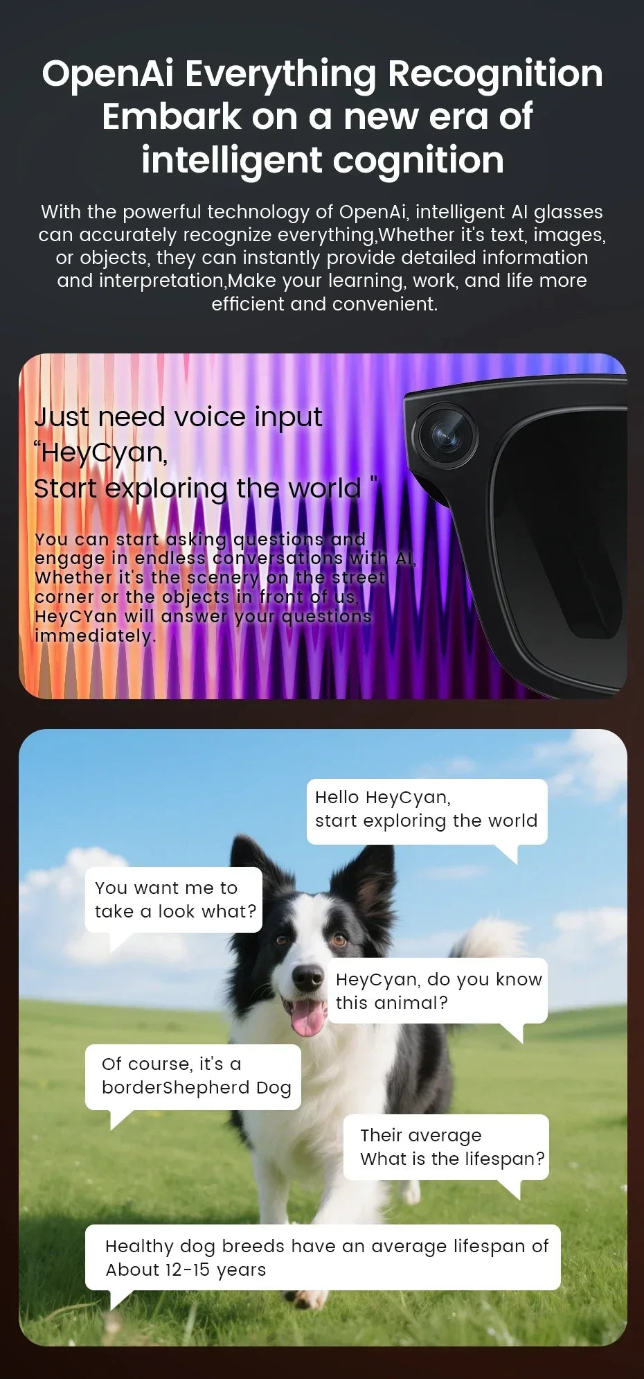 2026 New Smart Glasses 8 Million Pixels HD Photo Video Recording AI Intelligent Translation Call Noise Reduction Smart Glasses
